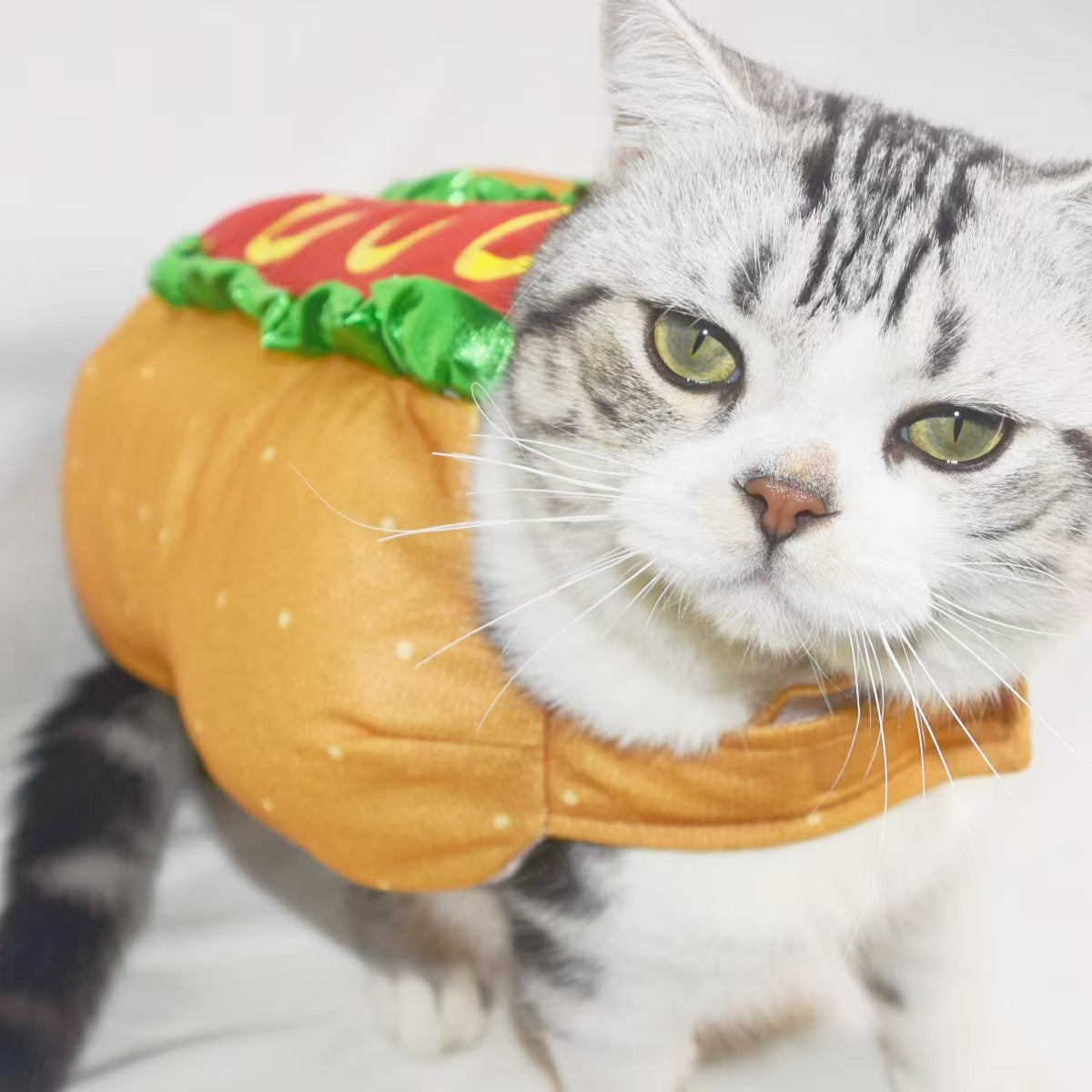 Dog costumes cat costumes carnival Christmas hot dogs hamburgers