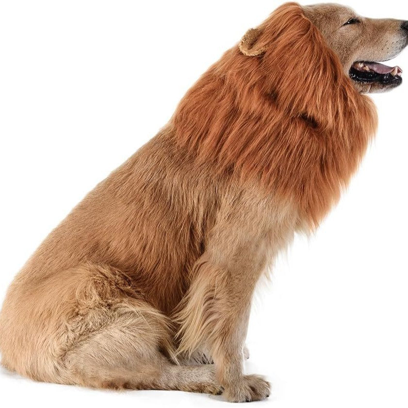 Fun Lion Head Mask with Ears for Pets - Animal Transformation Costume
